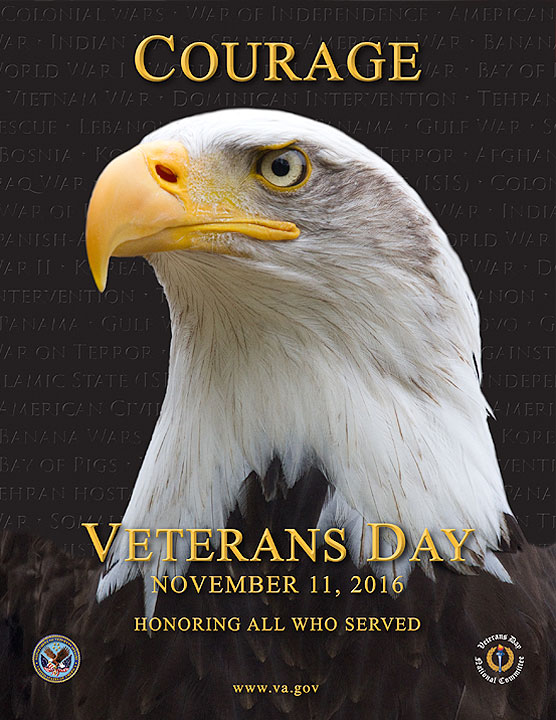 Veterans Day Holiday Schedule – November 11, 2016  BrunswickGlynn 